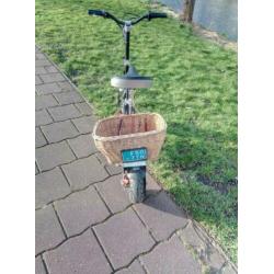 Elektrische step met kenteken