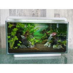 Superfish home 25 aquascaped aquarium