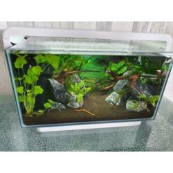 Superfish home 25 aquascaped aquarium