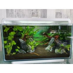 Superfish home 25 aquascaped aquarium