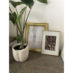 Gouden lijst met moderne print