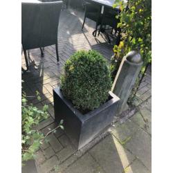 Bloembakken met beplanting 6 groten 6 kleinen