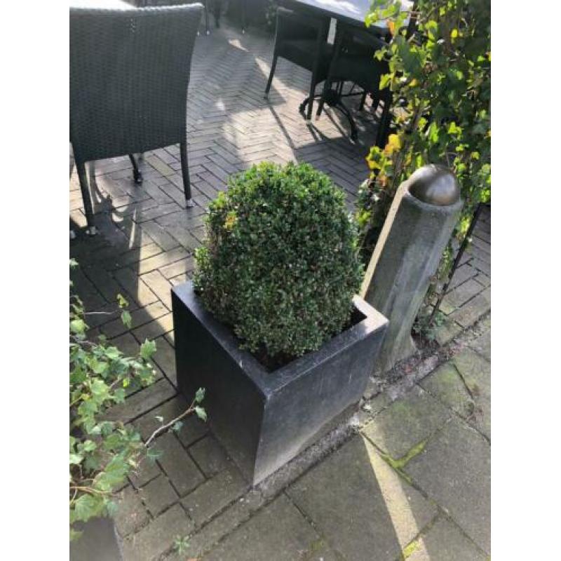 Bloembakken met beplanting 6 groten 6 kleinen