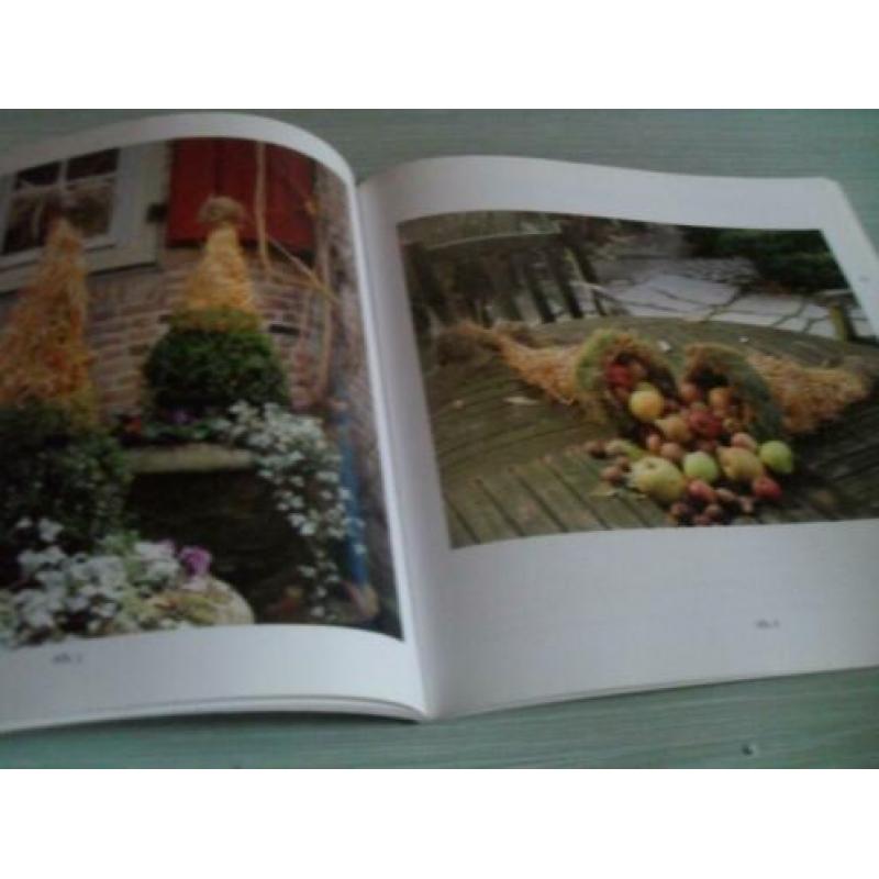 Mooi Hooi & Stro. Door: Pien Lemstra 46 Pagina’s. Het werke