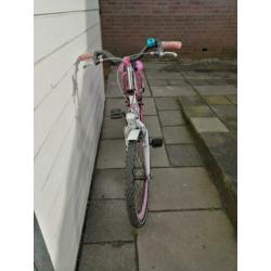Popal Angel 22 inch