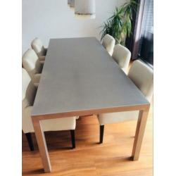 Grote Mooie RVS Eetkamertafel met Zes Leren Eettafel Stoelen