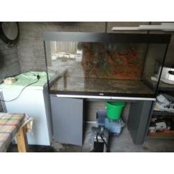 Juwel aquarium 120B x 65H x 50D compleet