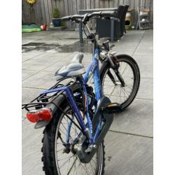 Batavus Snake 20 Inch