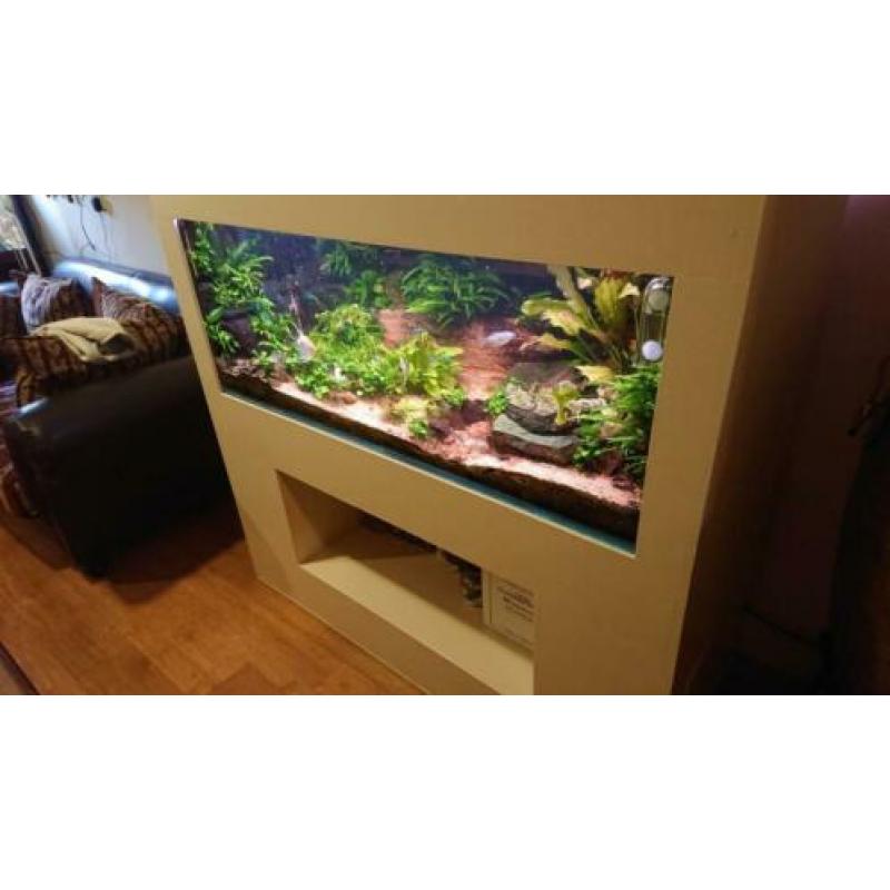 Aquarium groot met mooie ombouw