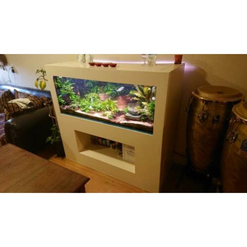 Aquarium groot met mooie ombouw
