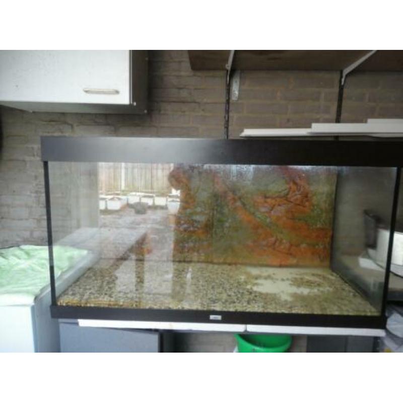 Juwel aquarium 120B x 65H x 50D compleet
