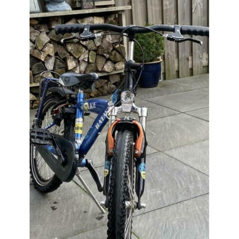 Batavus Snake 20 Inch