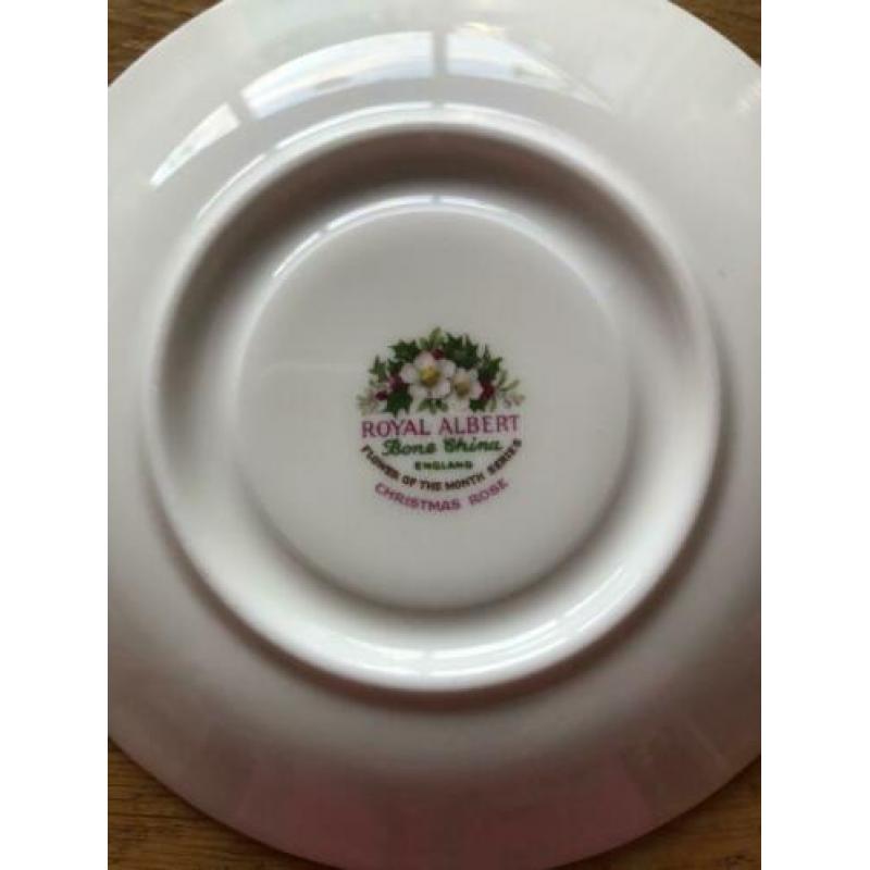 Royal Albert Flower of the month dameskopje December