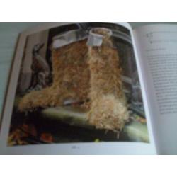 Mooi Hooi & Stro. Door: Pien Lemstra 46 Pagina’s. Het werke