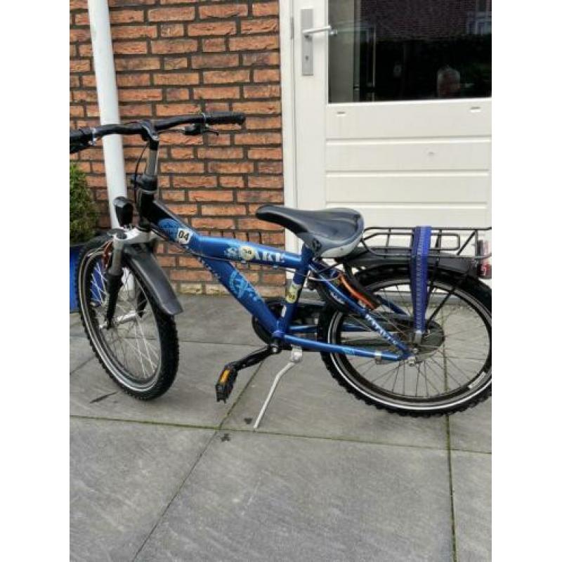 Batavus Snake 20 Inch