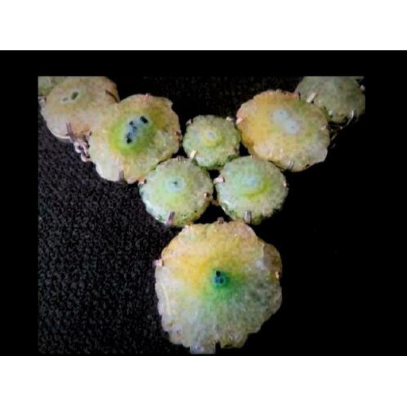 Uniek Massief Zilveren Collier / Lighte Groen Stenen/Fossil?