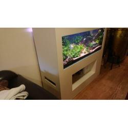 Aquarium groot met mooie ombouw