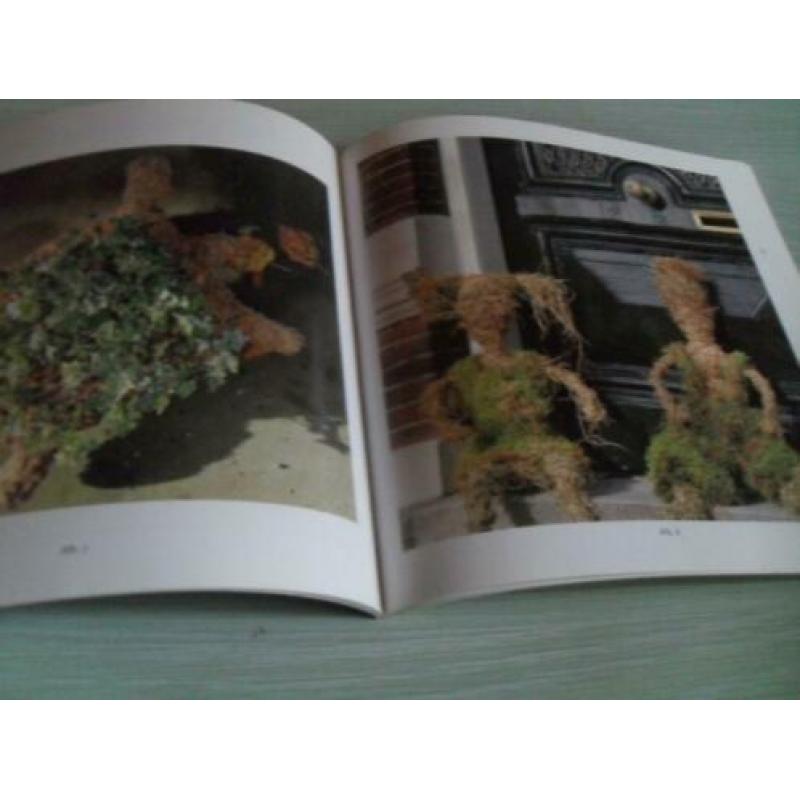 Mooi Hooi & Stro. Door: Pien Lemstra 46 Pagina’s. Het werke