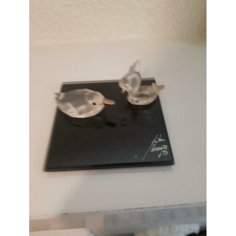 Swarovski beeld en plaat