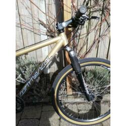 leuke MTB voor dame of groot kind