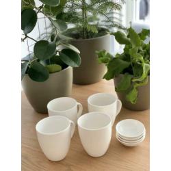 VT wonen basis servies