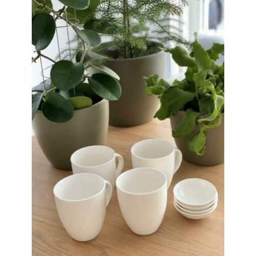 VT wonen basis servies