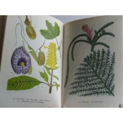 Meulenhoff Bibliotheek voor de natuur KAMERPLANTEN