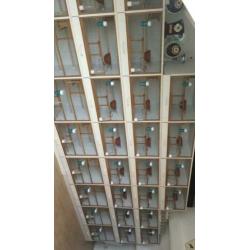 Te koop broedkooien 5 x 4 kooien aaneen van 2.45cm breed