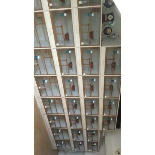 Te koop broedkooien 5 x 4 kooien aaneen van 2.45cm breed