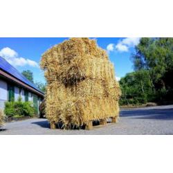 Tarwe stro balen uit de NOP - kwaliteit!