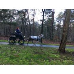 Bijrijdster of menner m/v gezocht