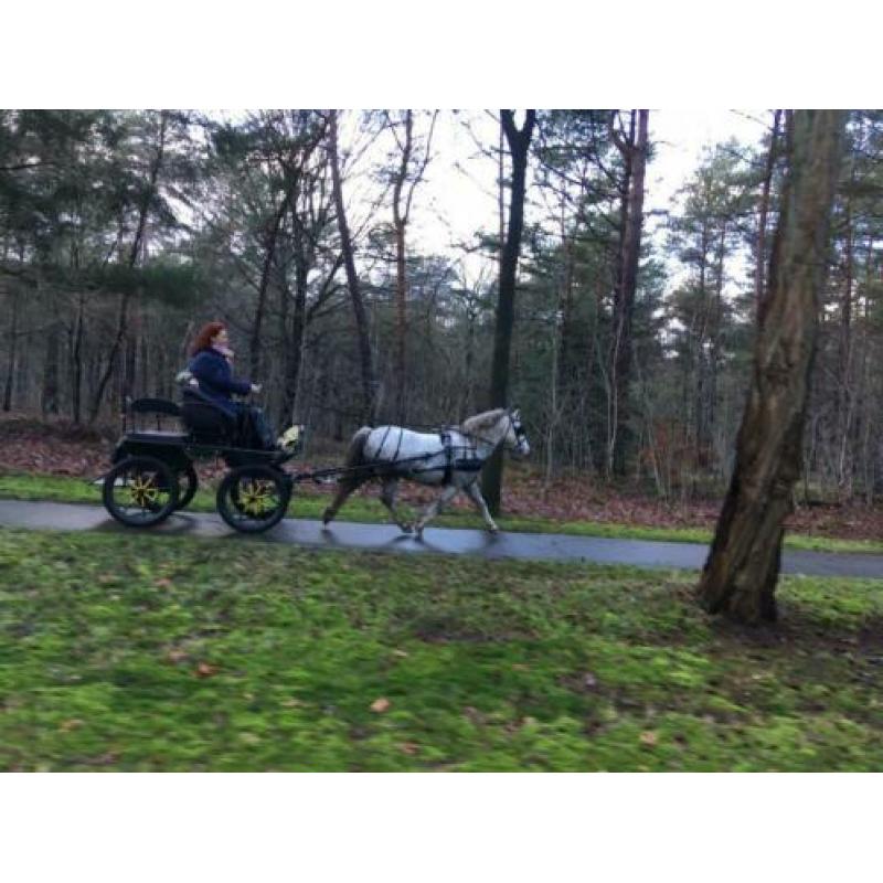 Bijrijdster of menner m/v gezocht