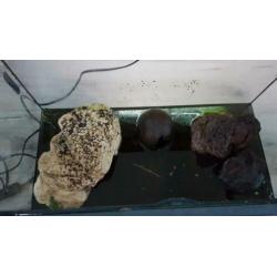 Aquarium 60b x 32cmh x 30d