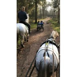 Bijrijdster of menner m/v gezocht