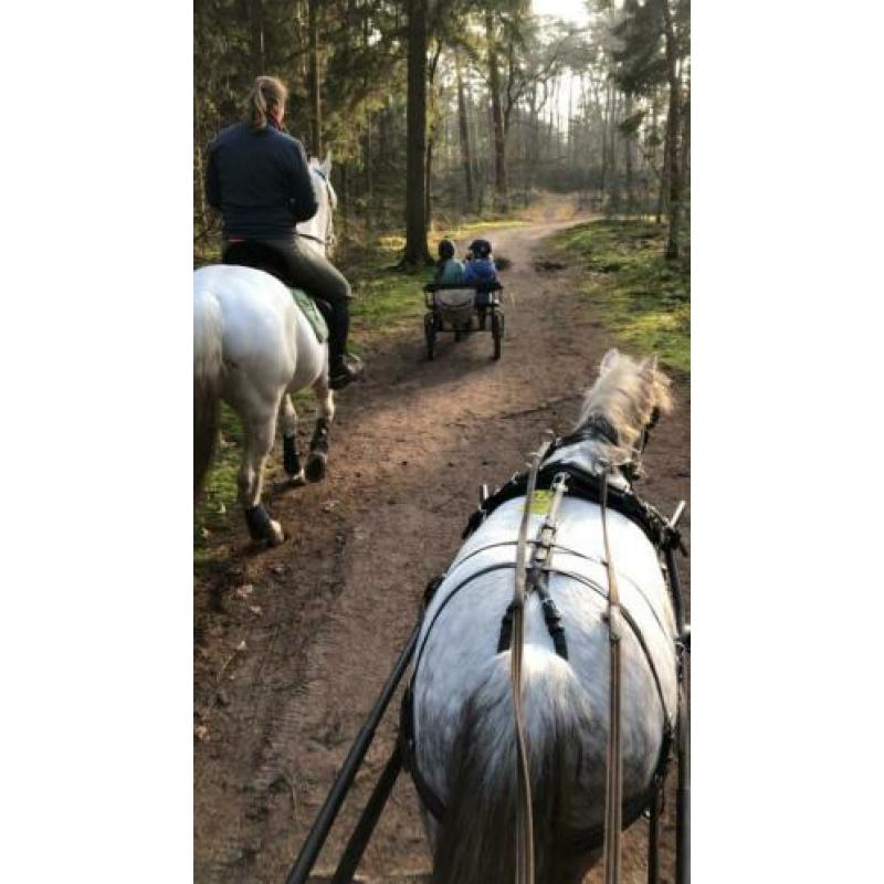 Bijrijdster of menner m/v gezocht