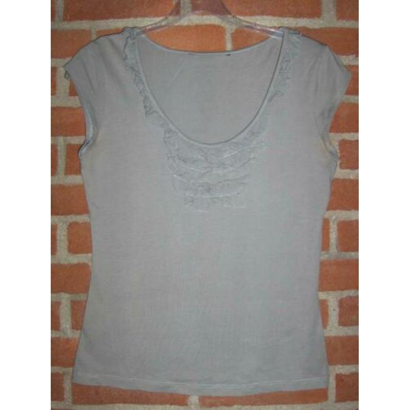 Grijs T-Shirt met Roes mt S (925)