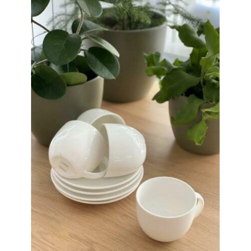 VT wonen basis servies