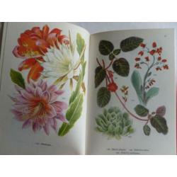 Meulenhoff Bibliotheek voor de natuur KAMERPLANTEN