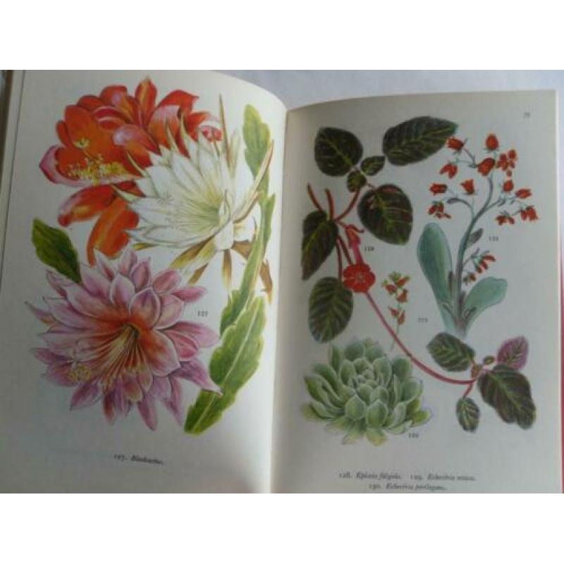 Meulenhoff Bibliotheek voor de natuur KAMERPLANTEN