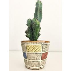 Vintage Spara bloempot W Germany sgraffito sgrafitto no Adco
