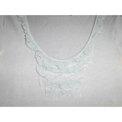 Grijs T-Shirt met Roes mt S (925)