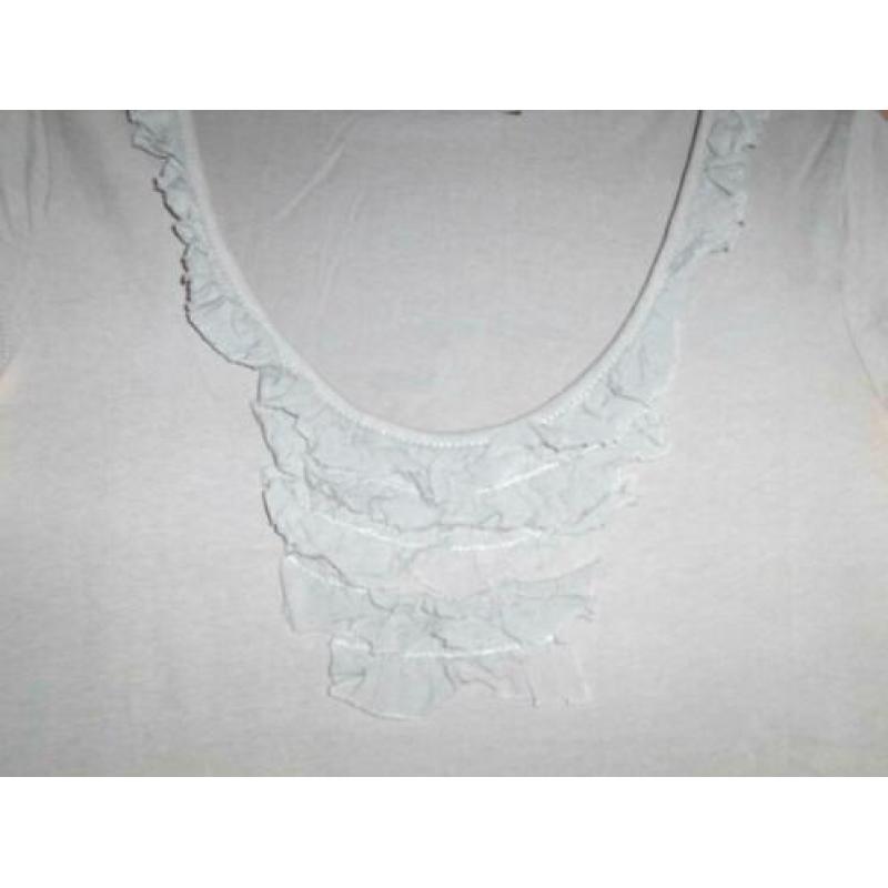 Grijs T-Shirt met Roes mt S (925)