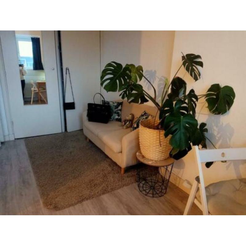 Hampen vloerkleed IKEA