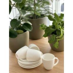 VT wonen basis servies