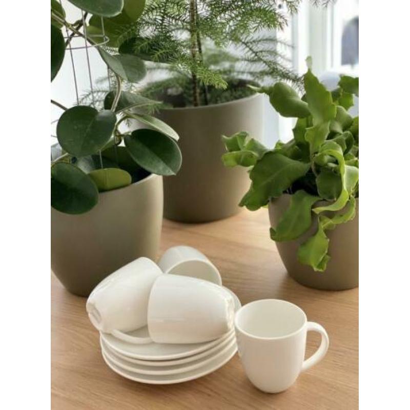 VT wonen basis servies