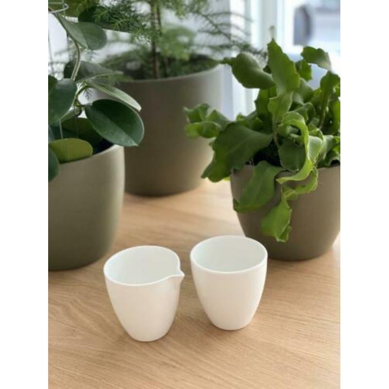 VT wonen basis servies