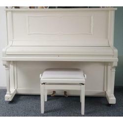 Witte piano, haydn