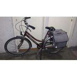Dames fiets met 7 versnellingen inclusief fietstassen
