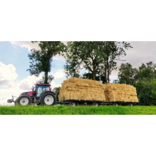 Tarwe stro balen uit de NOP - kwaliteit!
