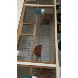 Te koop broedkooien 5 x 4 kooien aaneen van 2.45cm breed